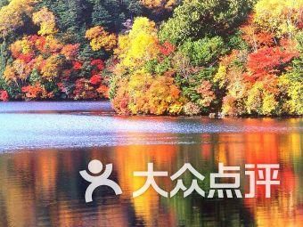 什么是十八硫醇