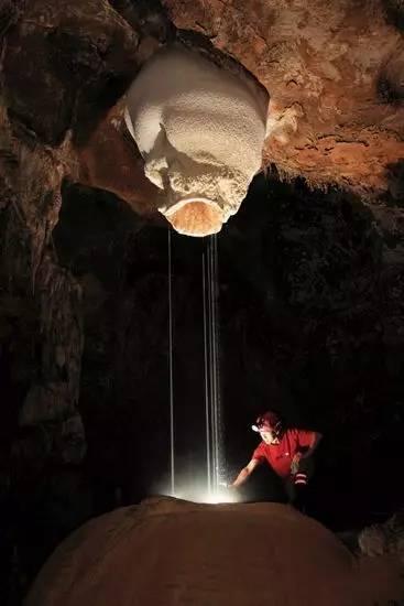 赏花、温泉...160多项精彩活动“龙”重登场！
