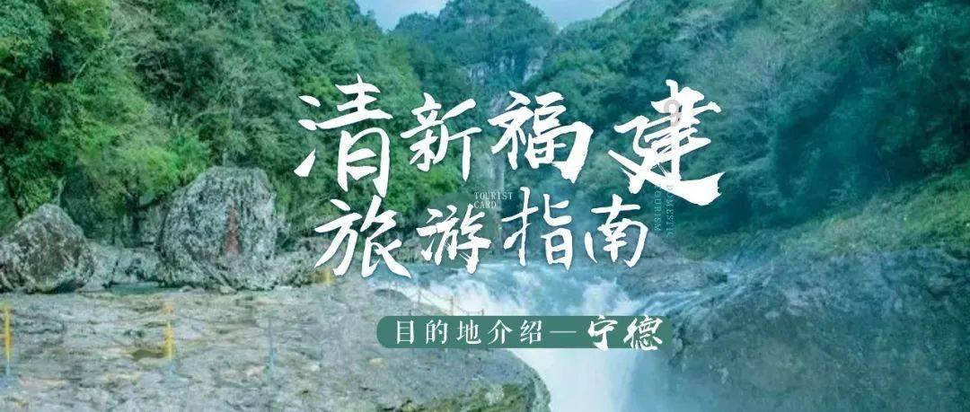 小猫钓鱼正版下载中文版