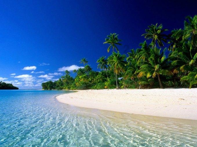 彩色夏天