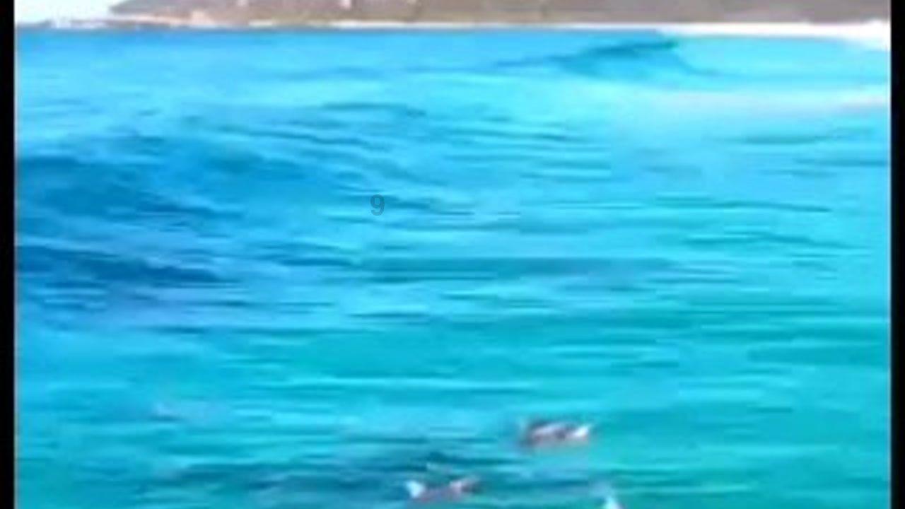 重磅!利物浦队主帅克洛普请辞,将于今夏离任