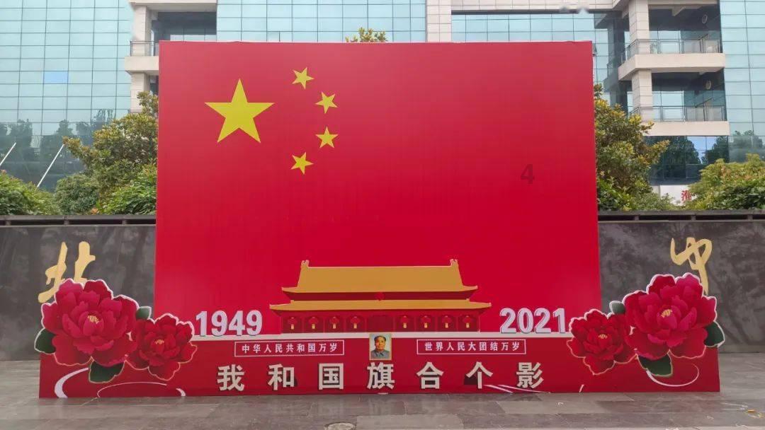可爱猫咪救援