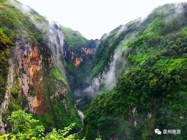 龙腾虎跃、鱼跃龙门，形容词都不够用了，西湖景区龙形花灯出圈